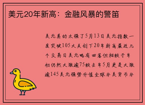 美元20年新高：金融风暴的警笛 